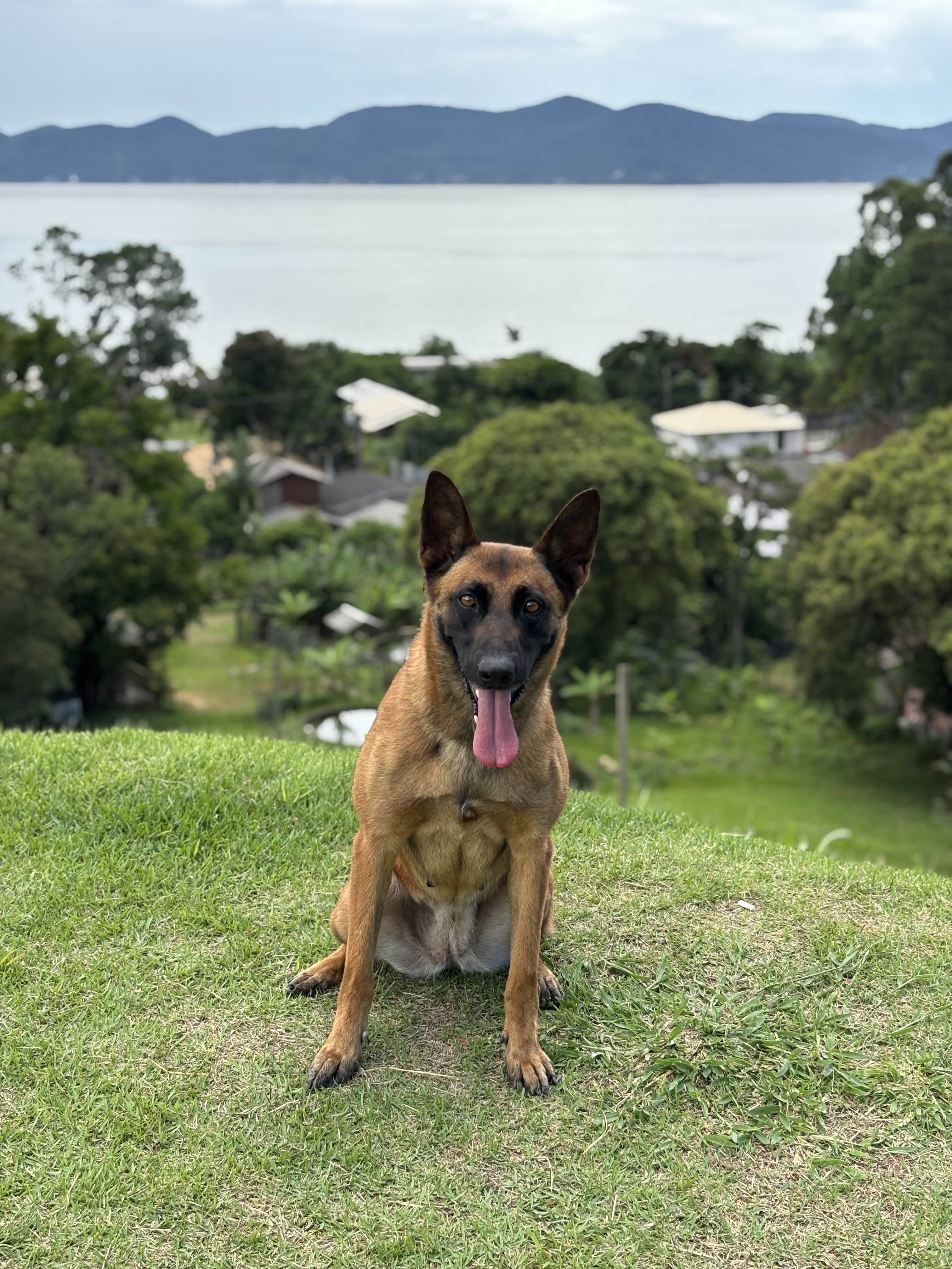 Corona CAC Vale Da Neblina