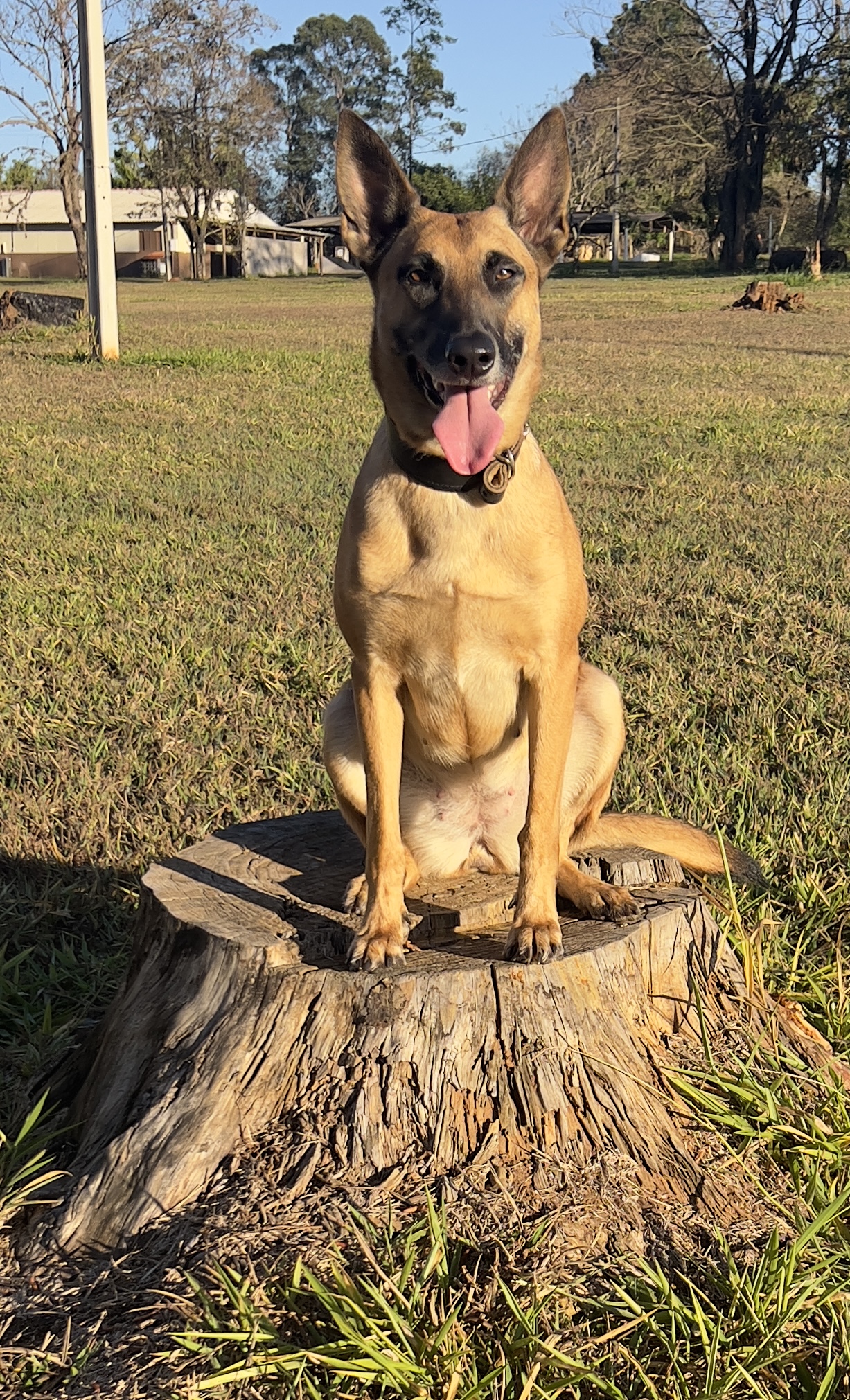 H-Koa Von Haus Kompagne