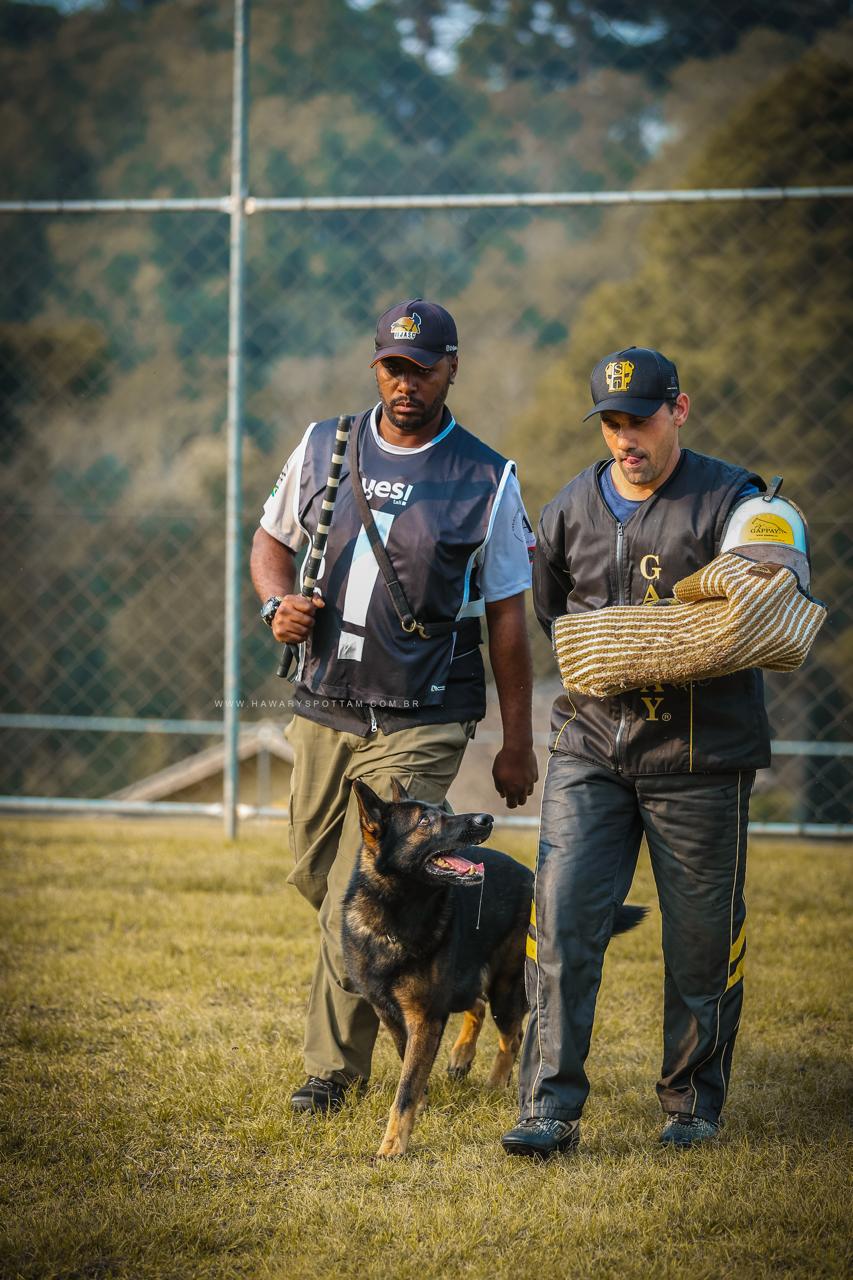 A- Fosco Dom Scatolin