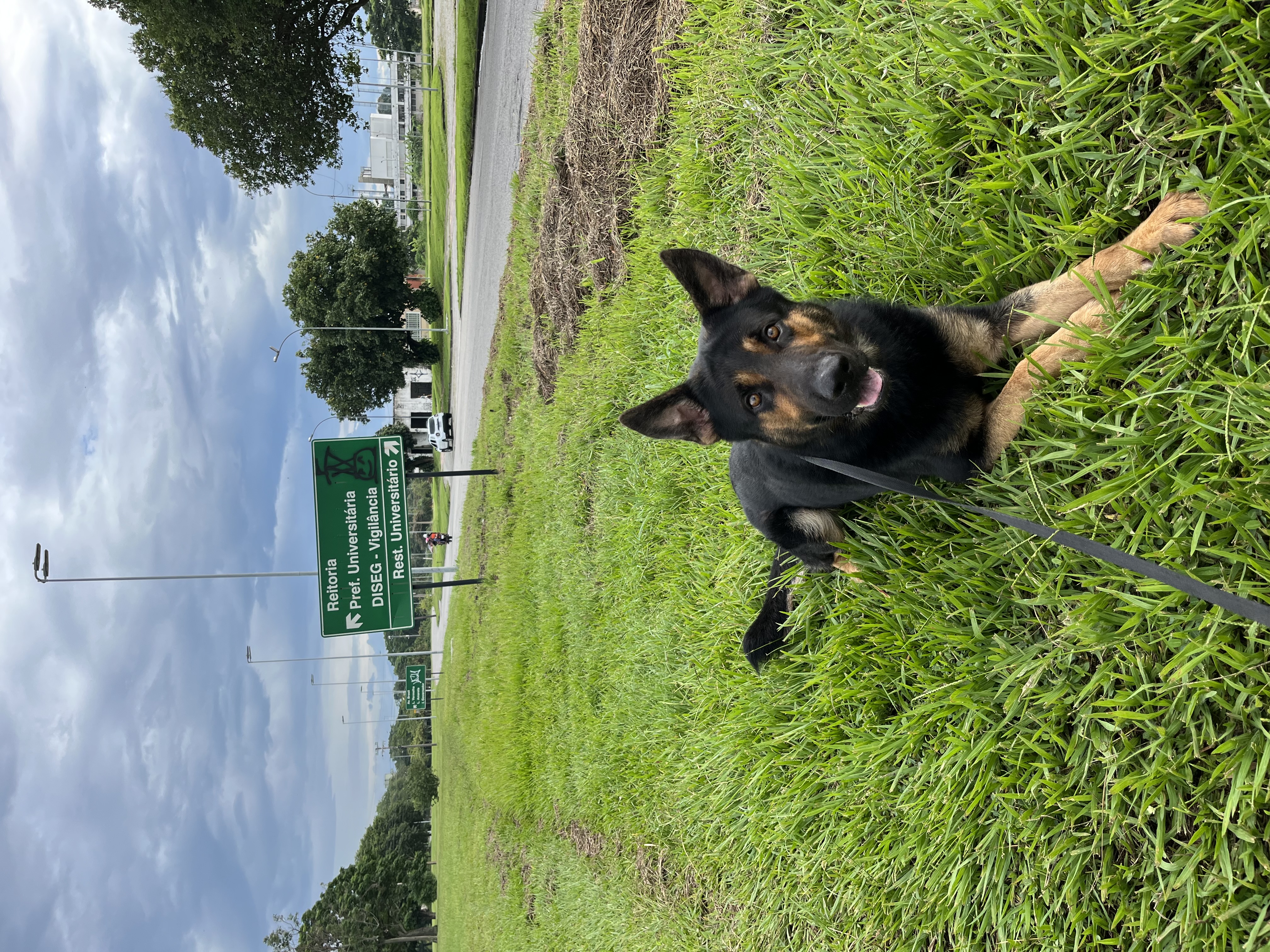 L-Hank Chácara Campaio