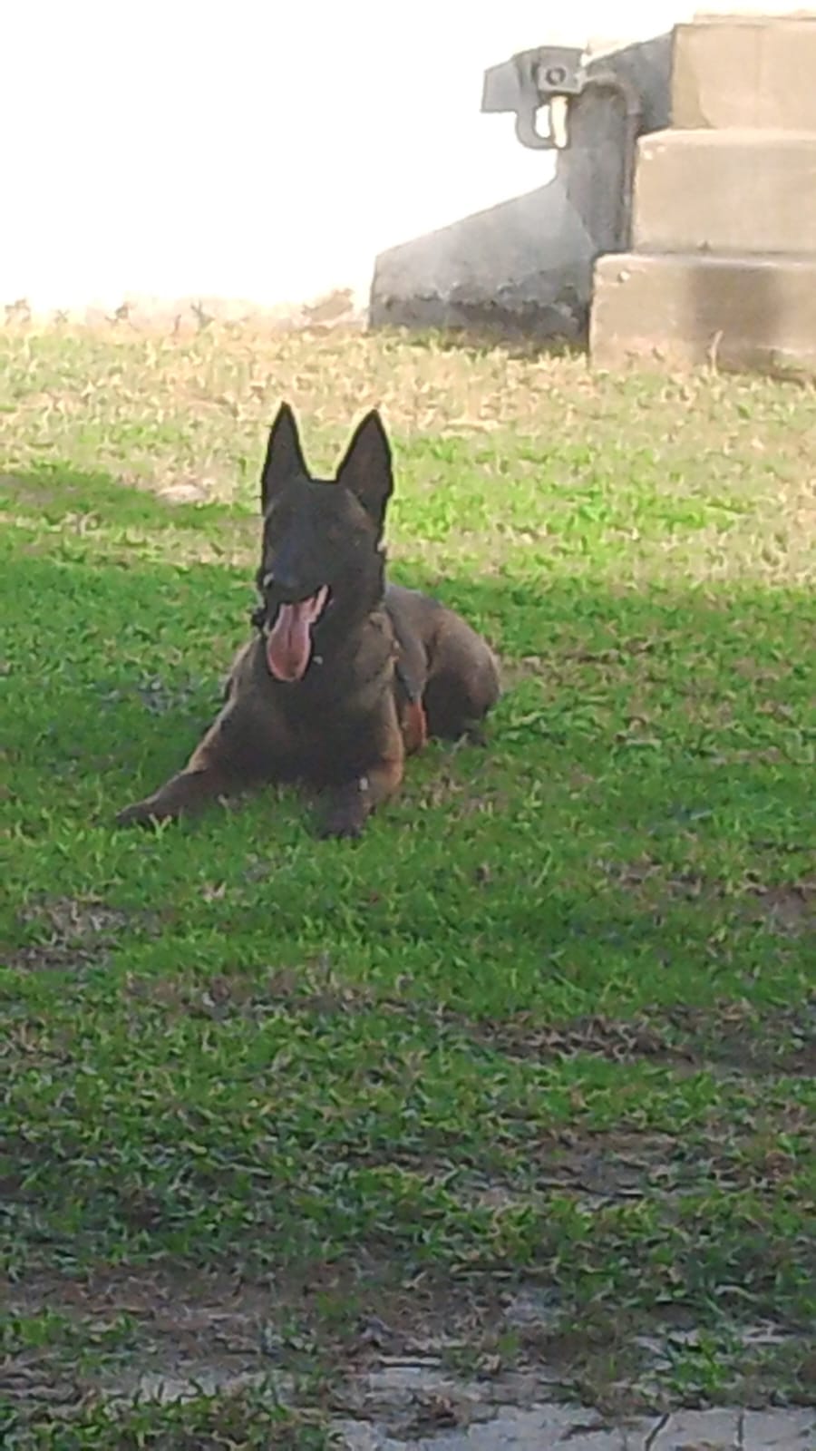 Charlote Ada Training