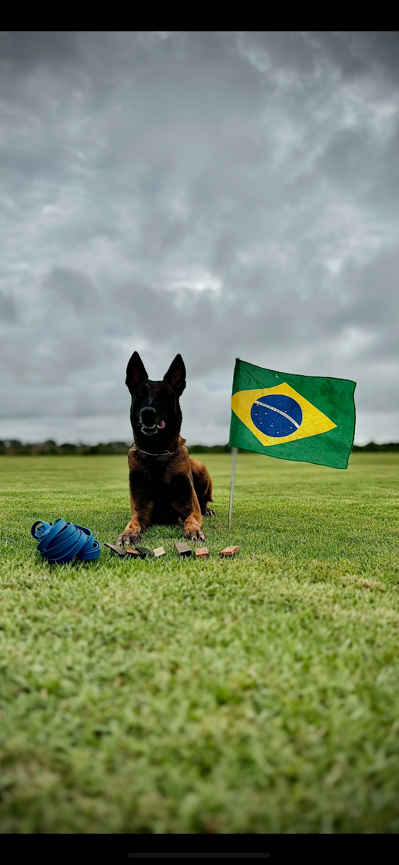 Oxy do Vale do Itaim