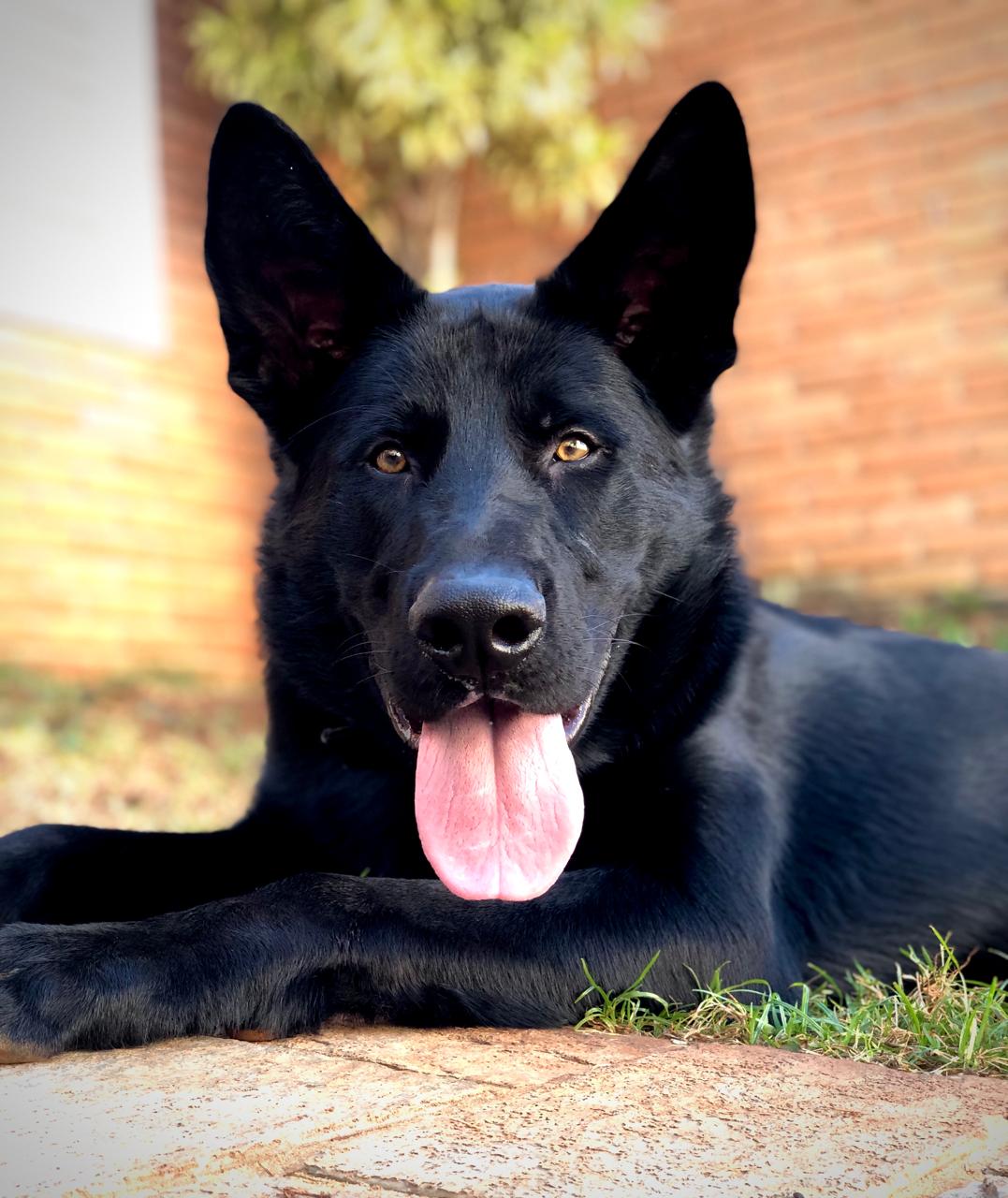 S-RYSKO VON HAUS ZURUCK