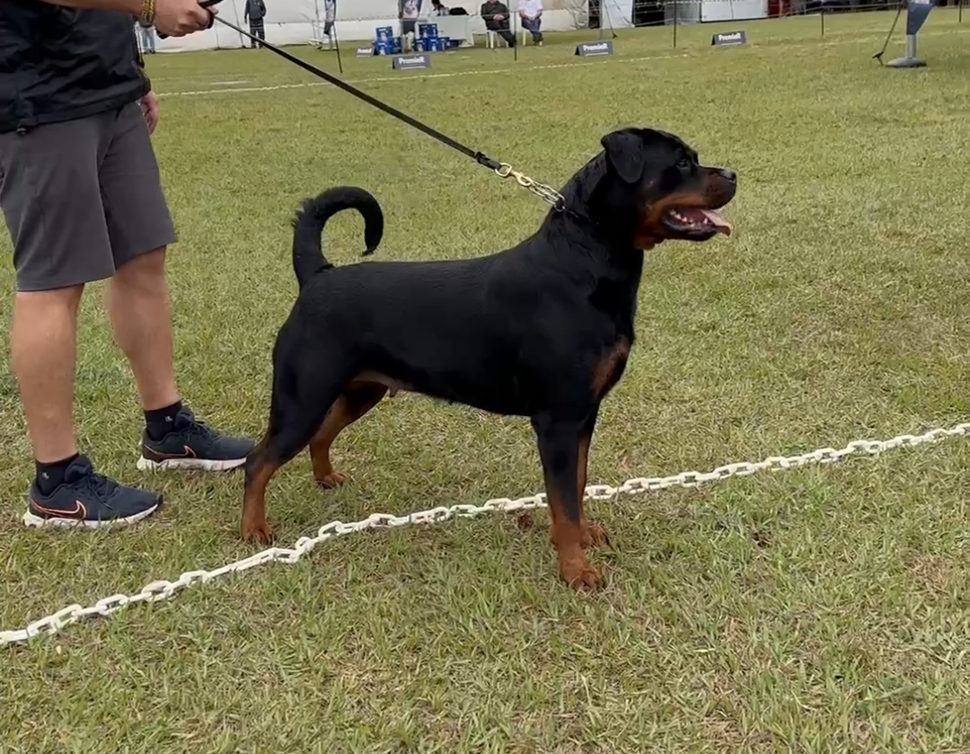 Hermès New Kaisa Cia Rott