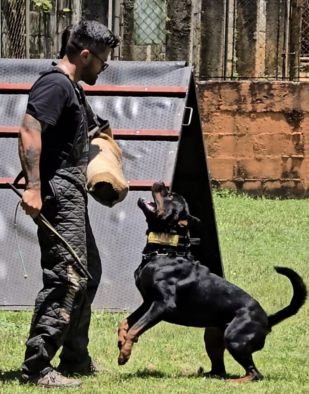 NOLAN NATAN NARNIA CIA ROTT