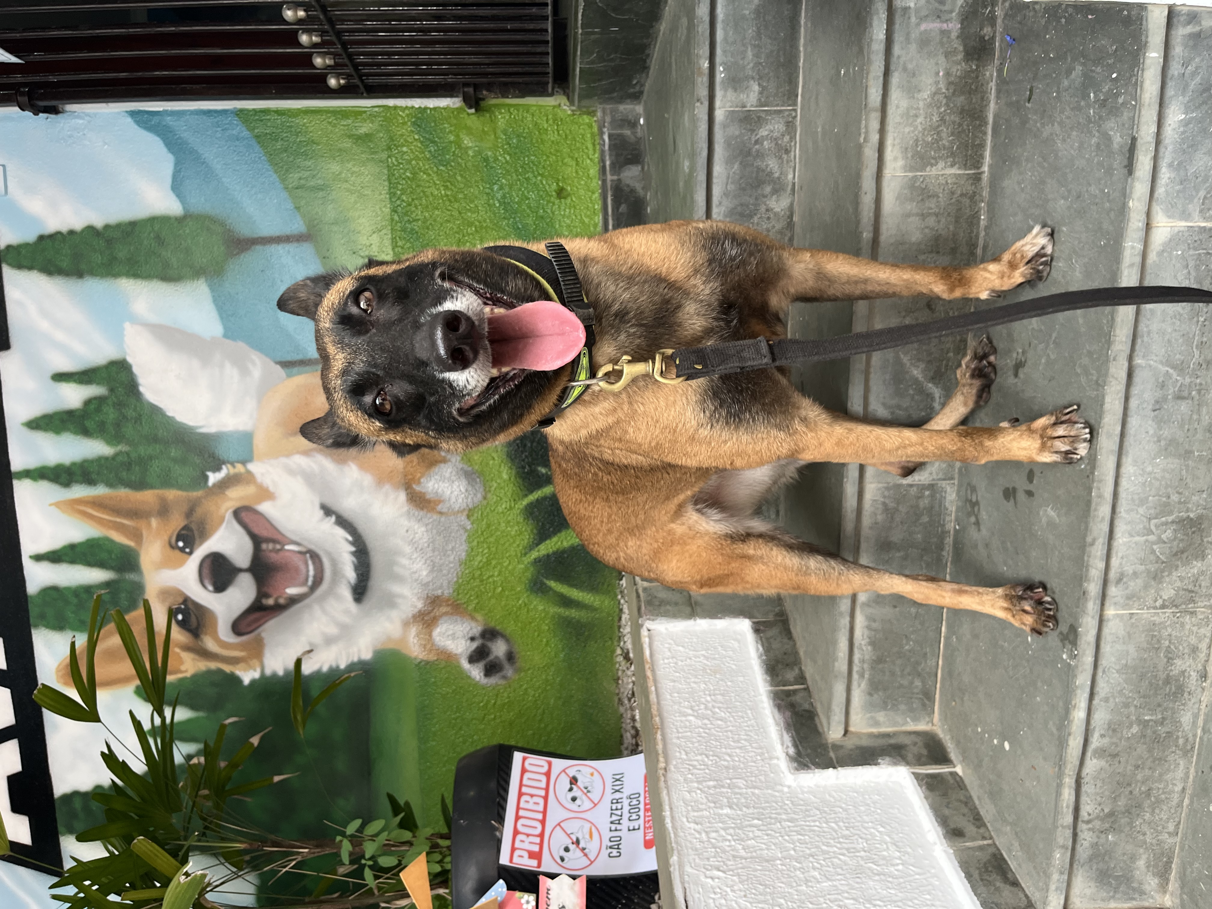 Cissa Von Haus Kampagne