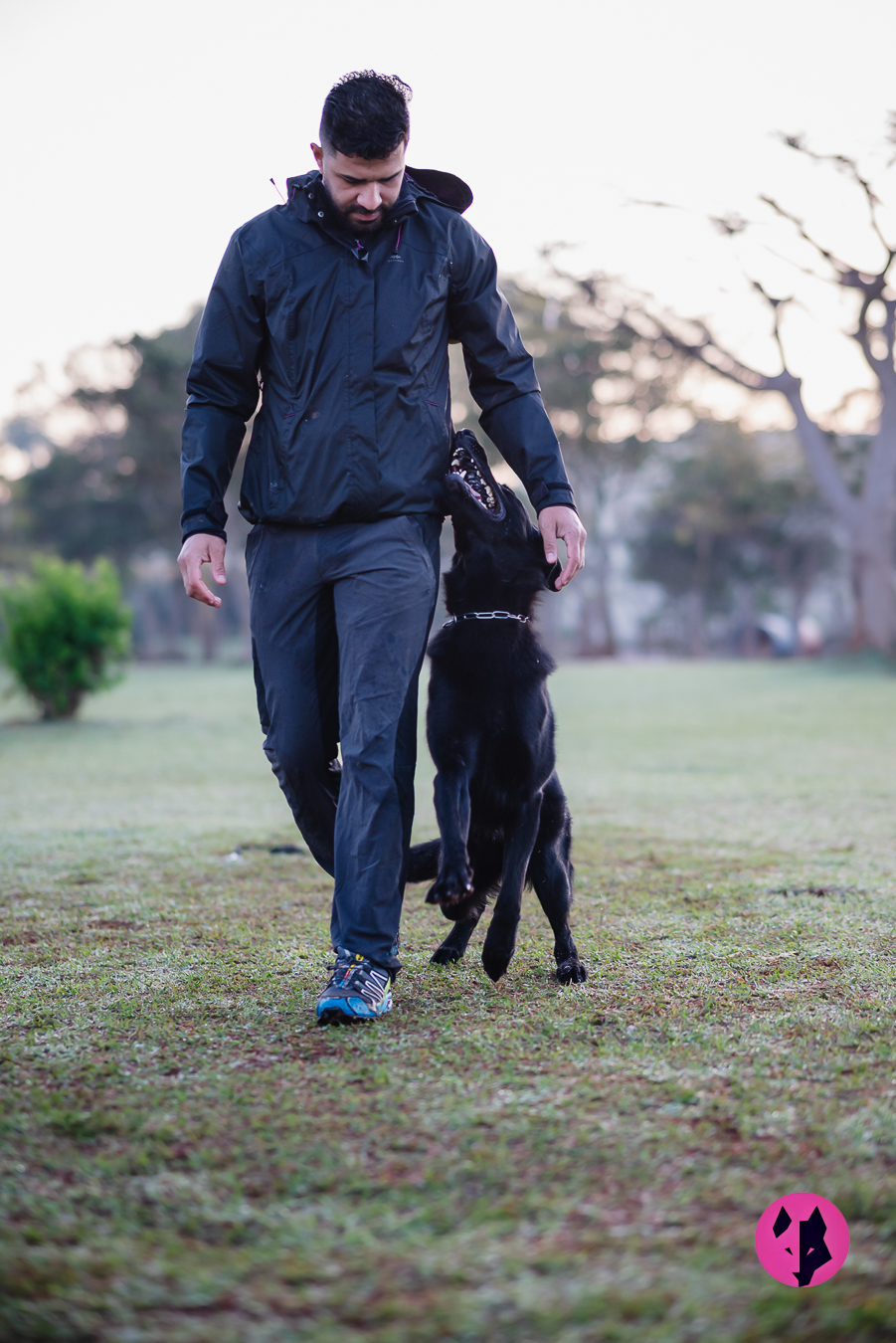 Bradock do Elite Working Dogs