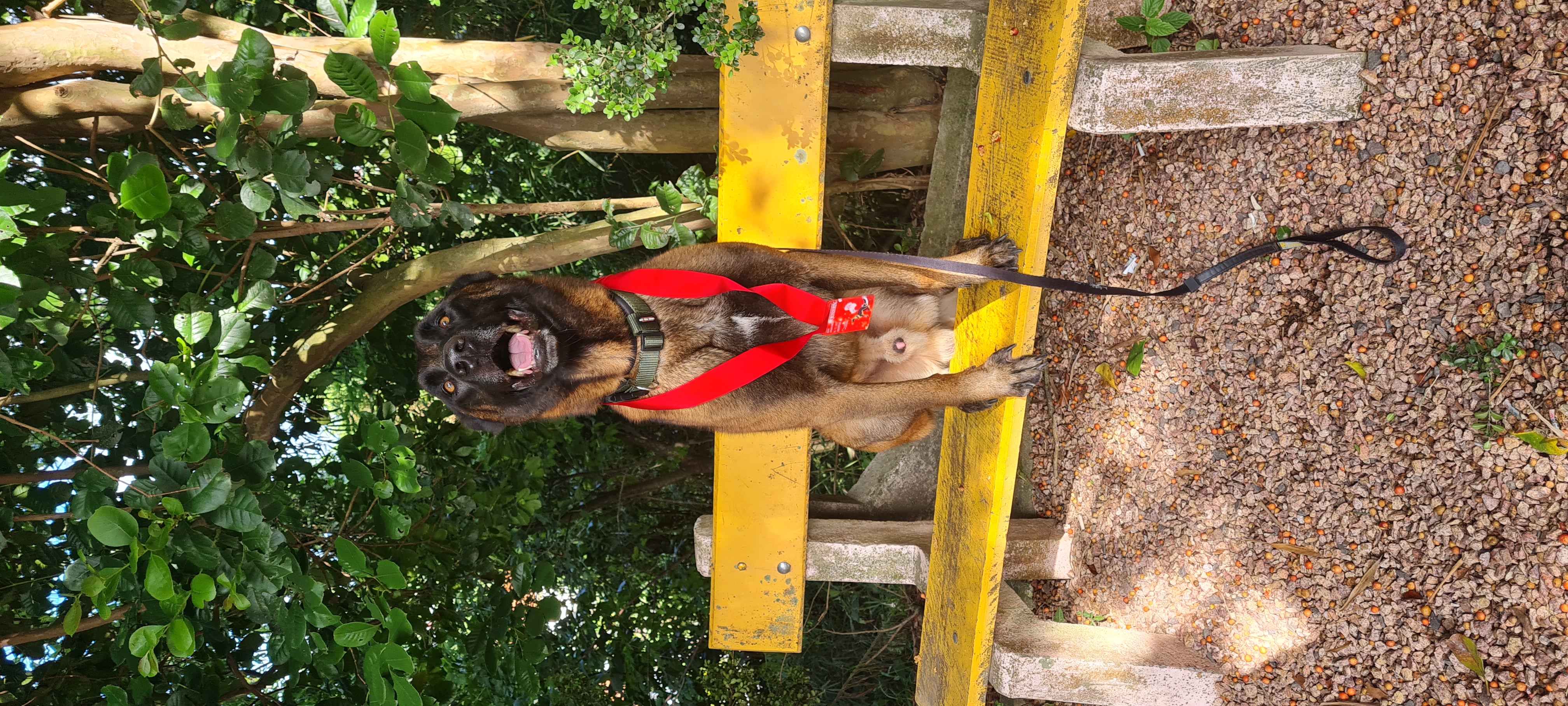 Snow  Du Drill Ranch