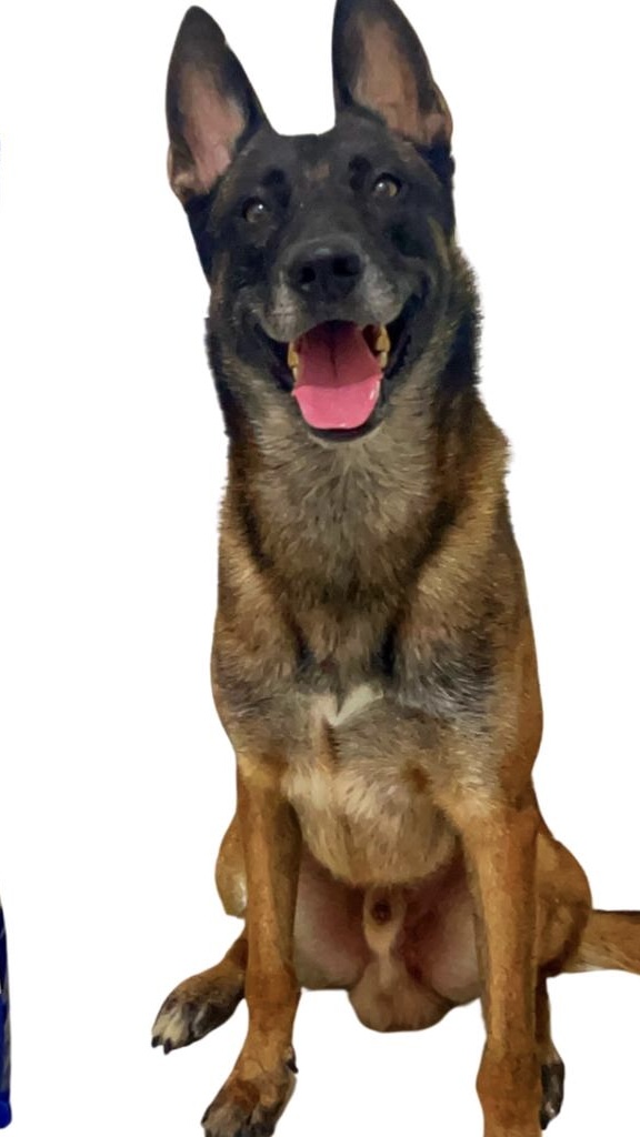 Apache do Guarda e Proteção