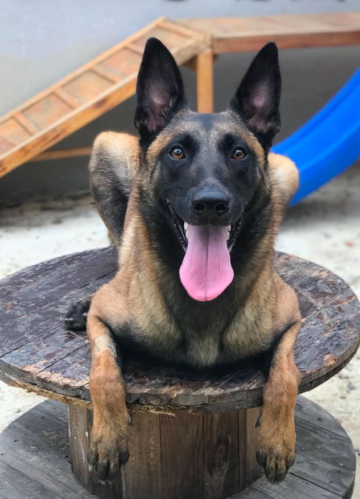 Ursula Malinoa Gamora