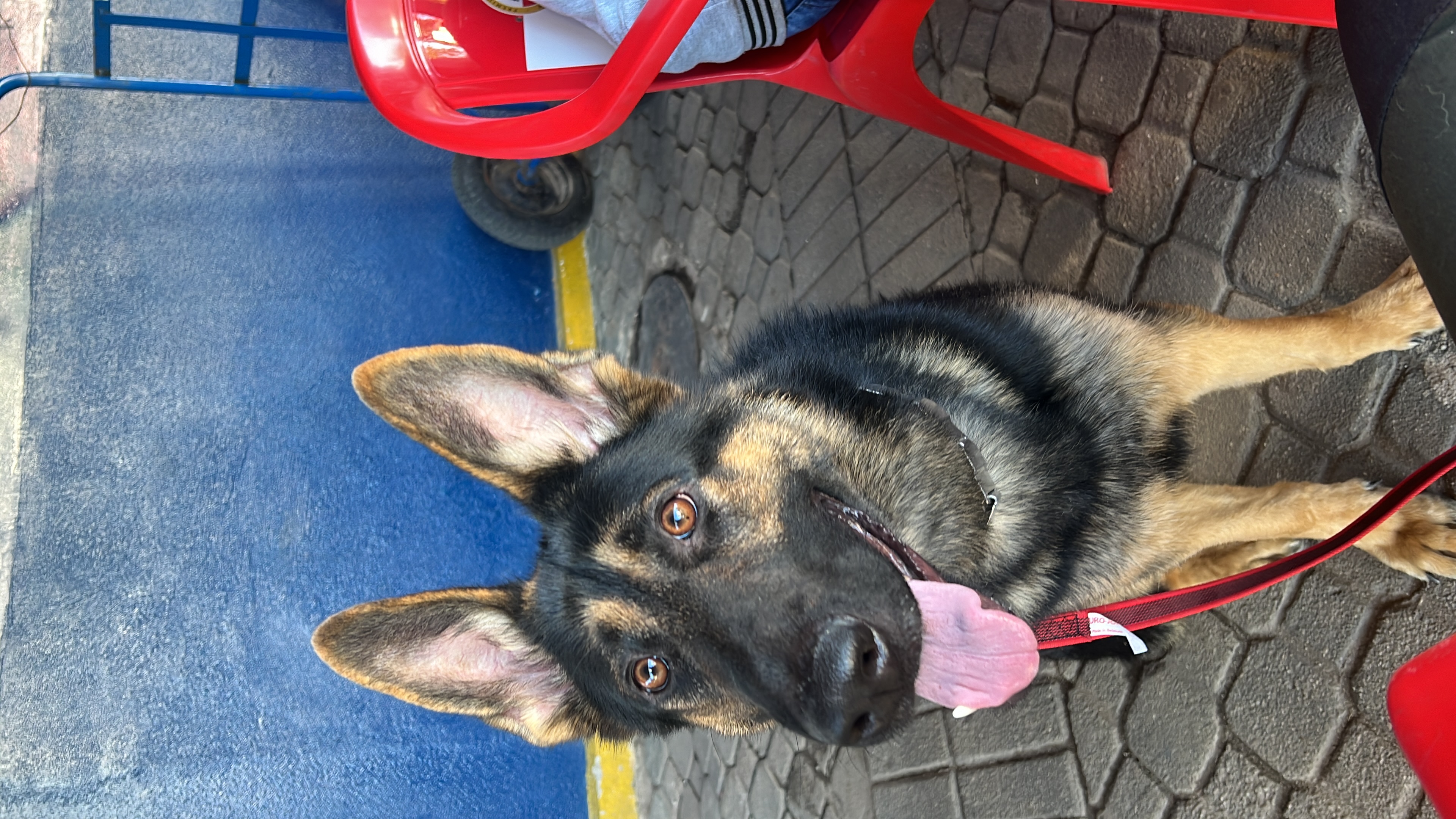 MARGOT PASTORES DO IVIDAL