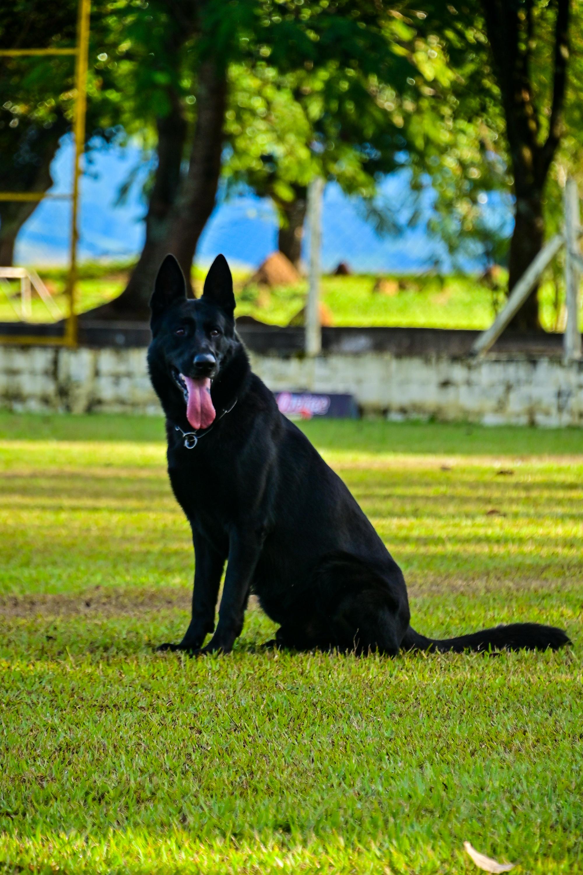 C-Kháos GO Von German