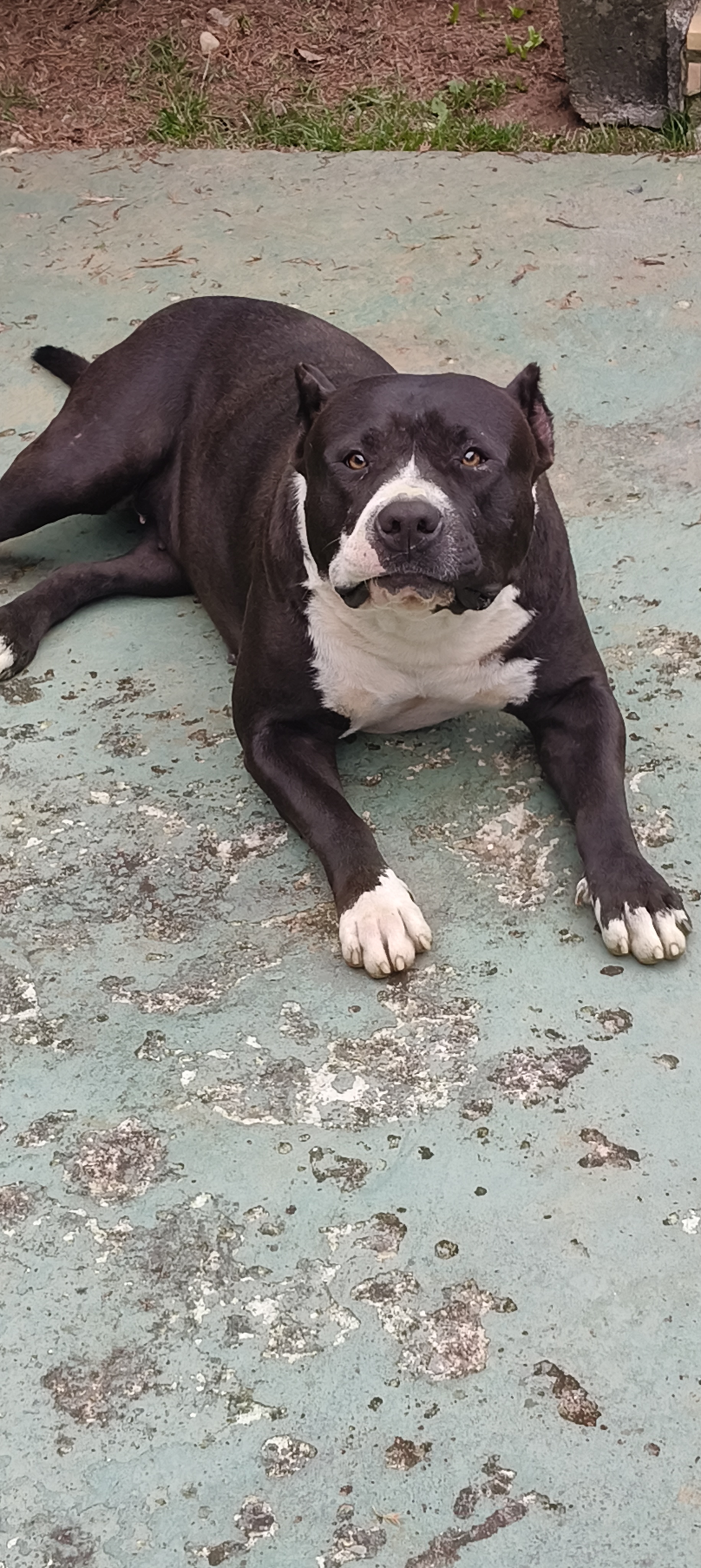 Maia von Mariana kenel