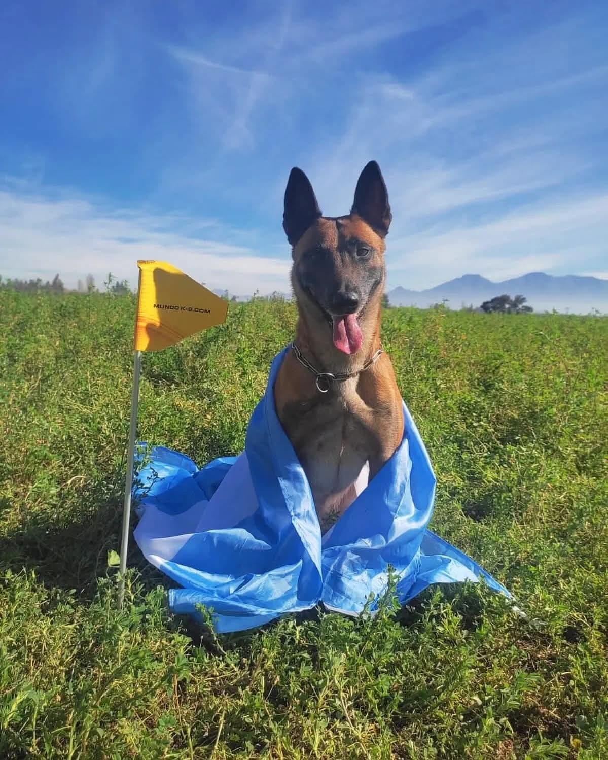 Atenas Alba del Plata