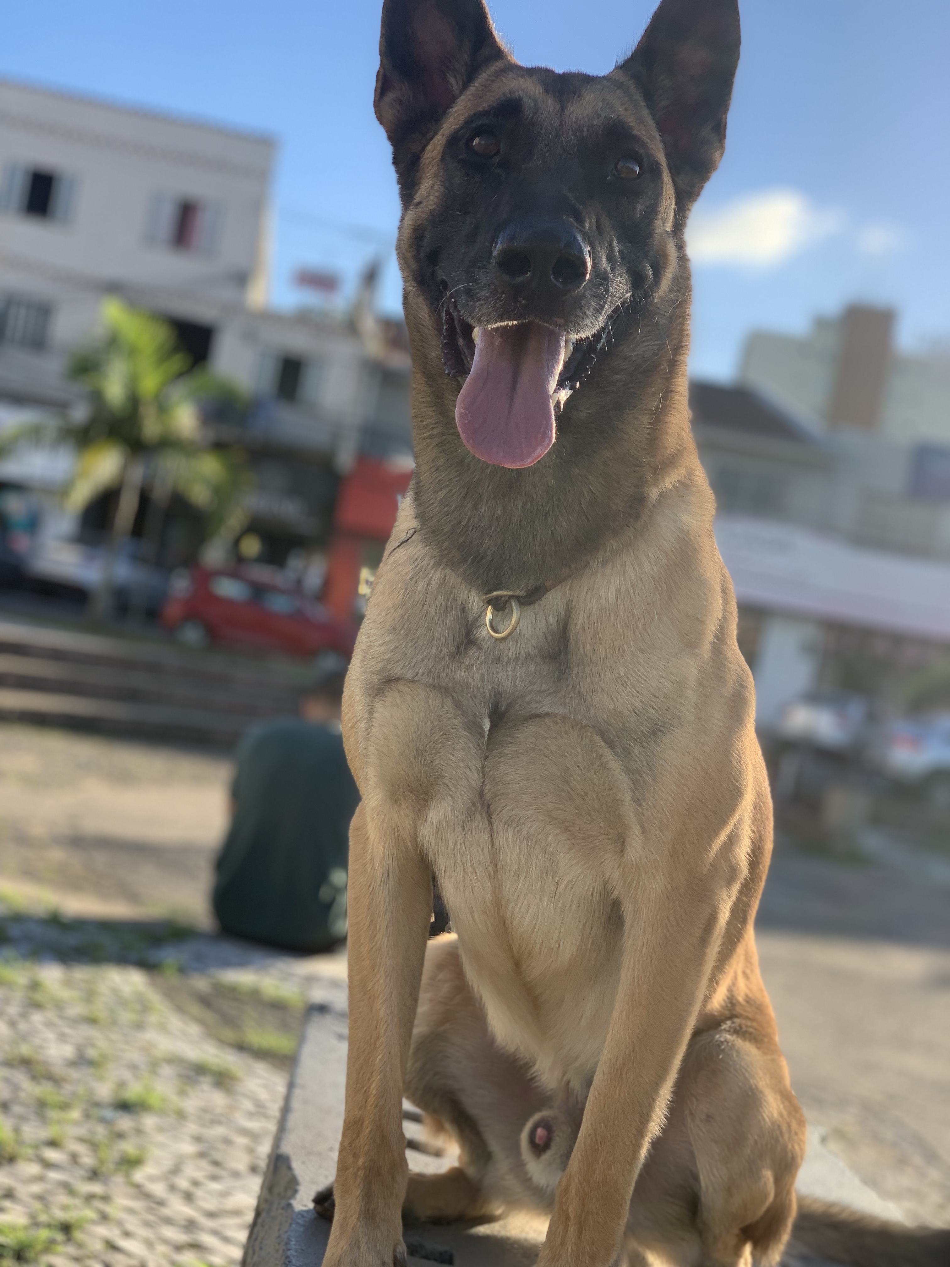 Kalash do Taba Ruiz (Lescar)