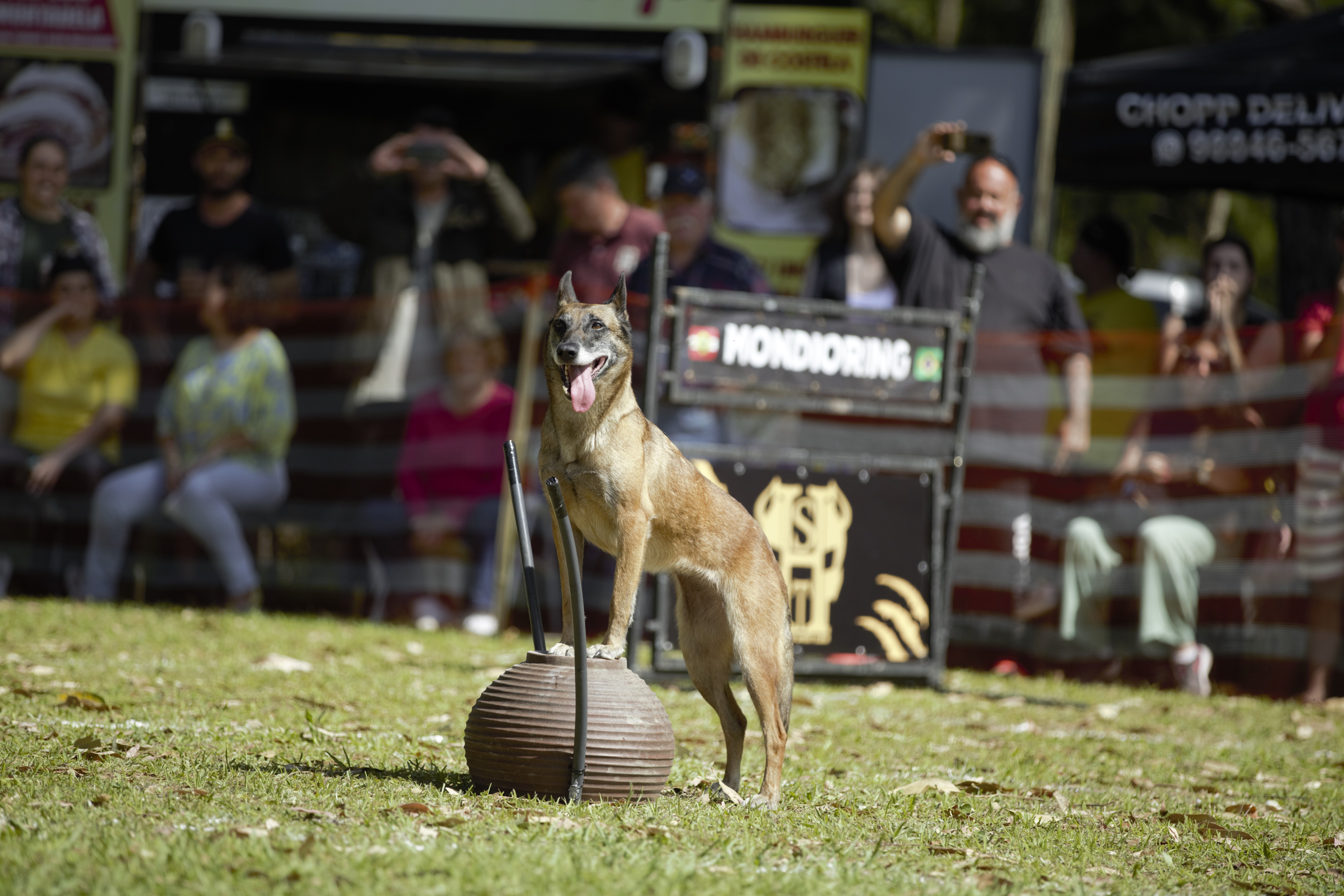 DANNA CAC VALE DA NEBLINA