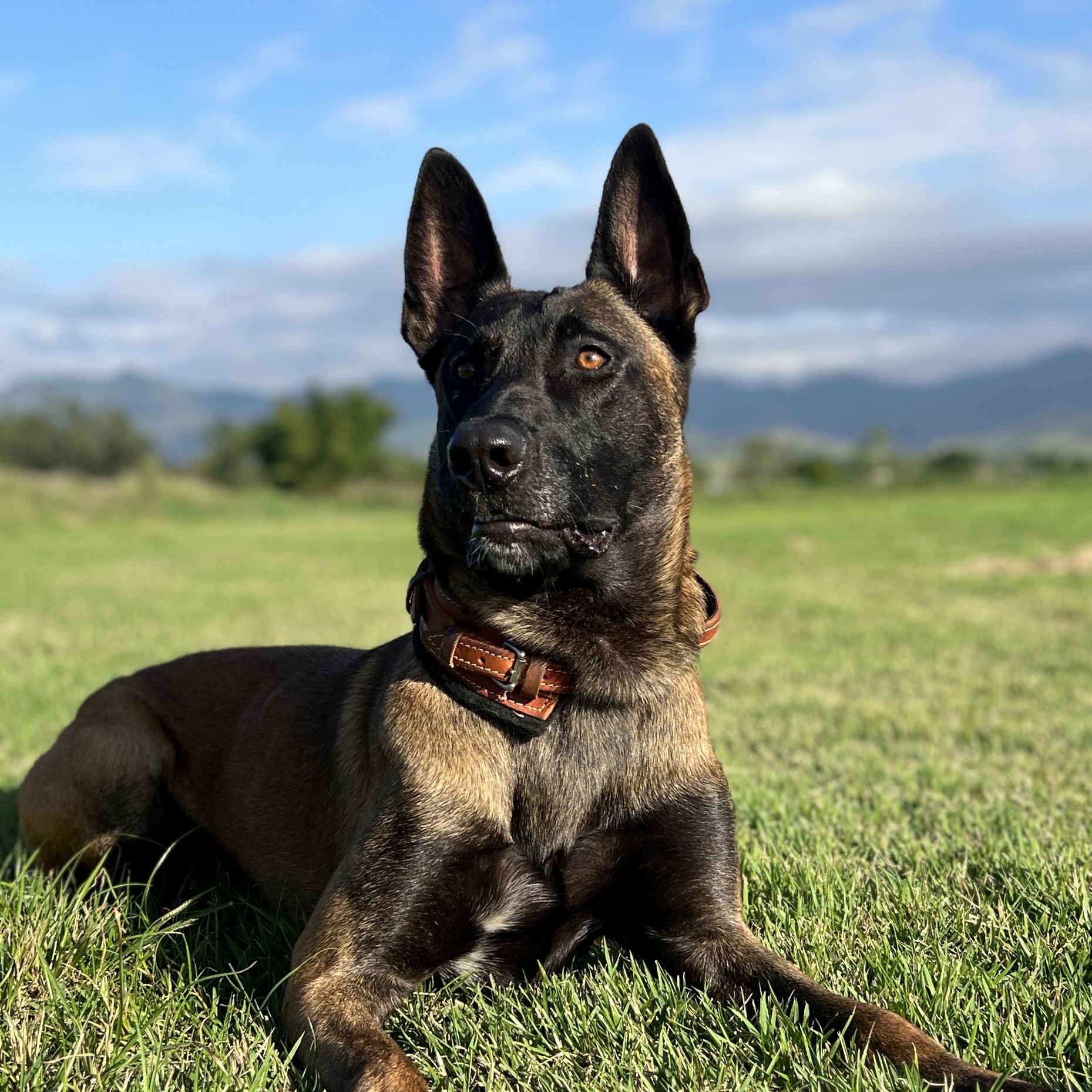 OGGRO DO VALE DO ITAIM