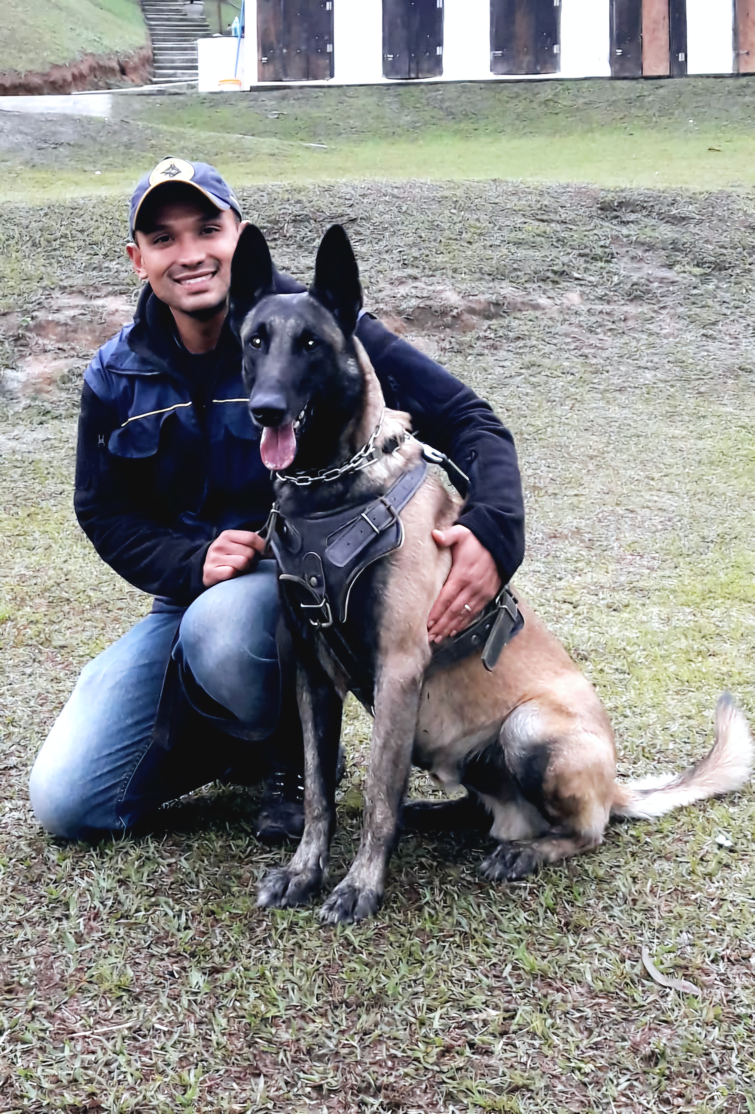 Cães de trabalho ker danger (MAC)