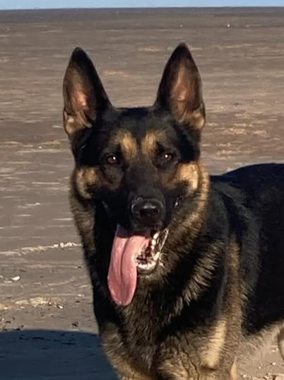 Quanto da Lagoa Grande