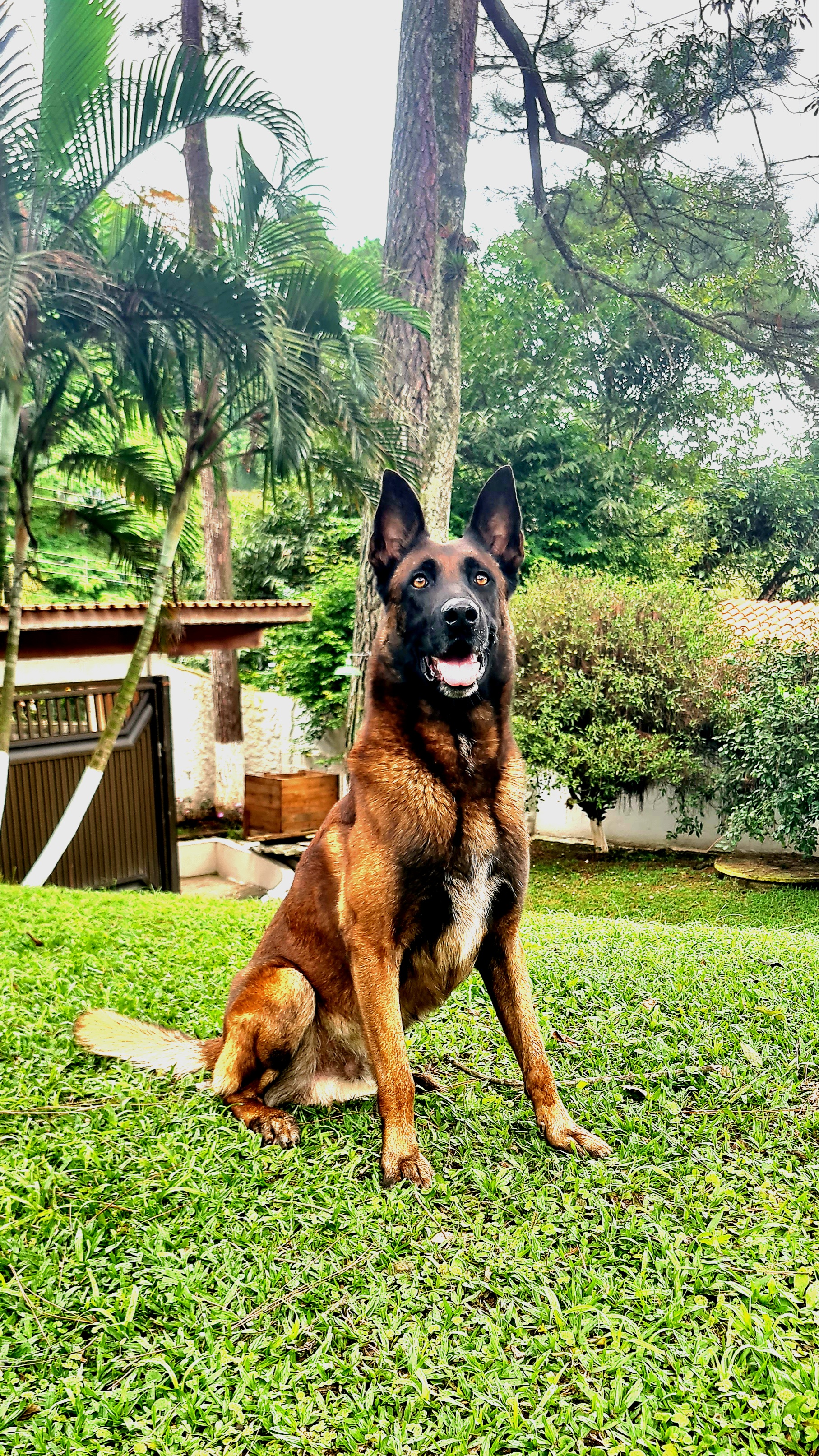DPilottoEquiibrado Guarda e Proteção