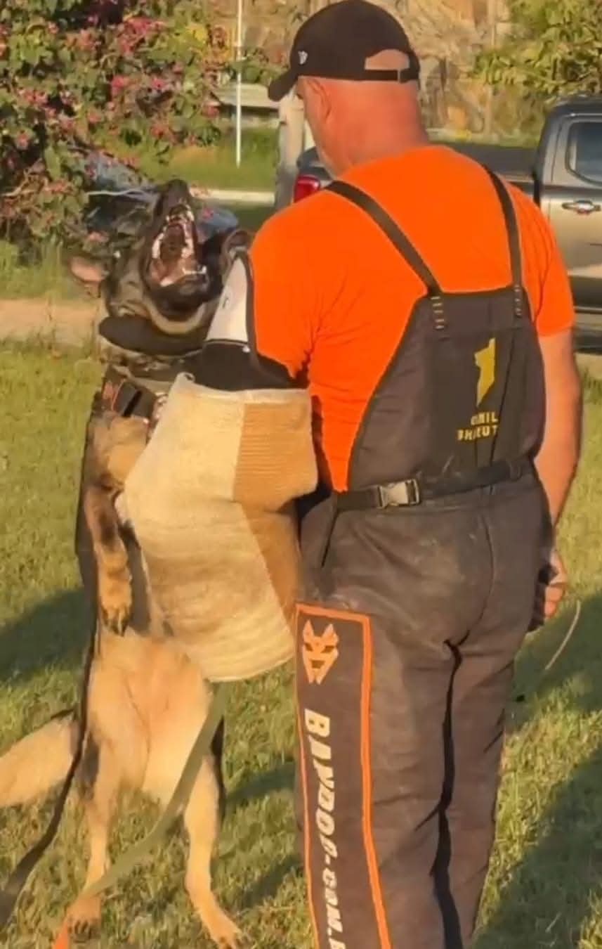 Bundy Killer von Hunter Fort