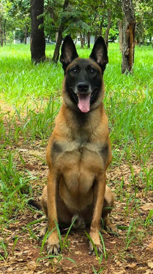 Bruce Wayne Daxengel