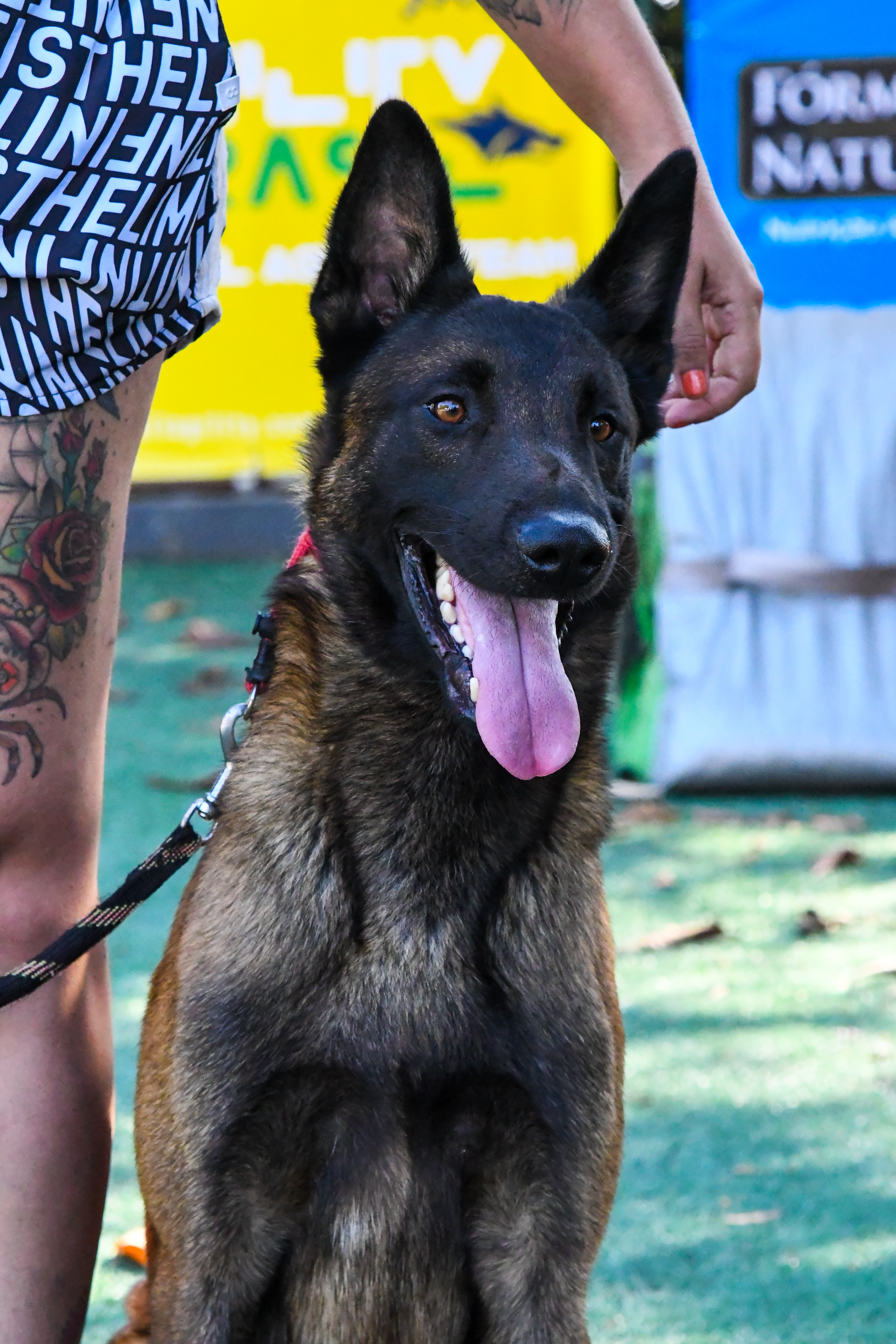 Thunder (Ethan do Kraft Mut)