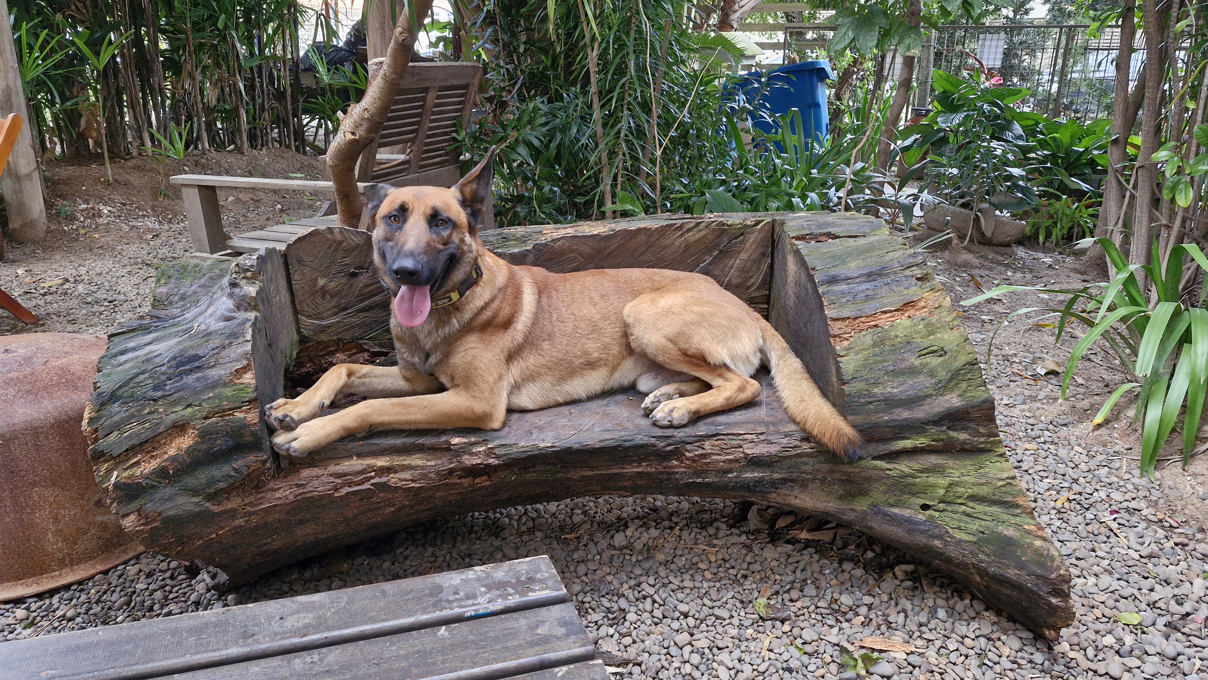 Levi Ackerman do Vale da Neblina