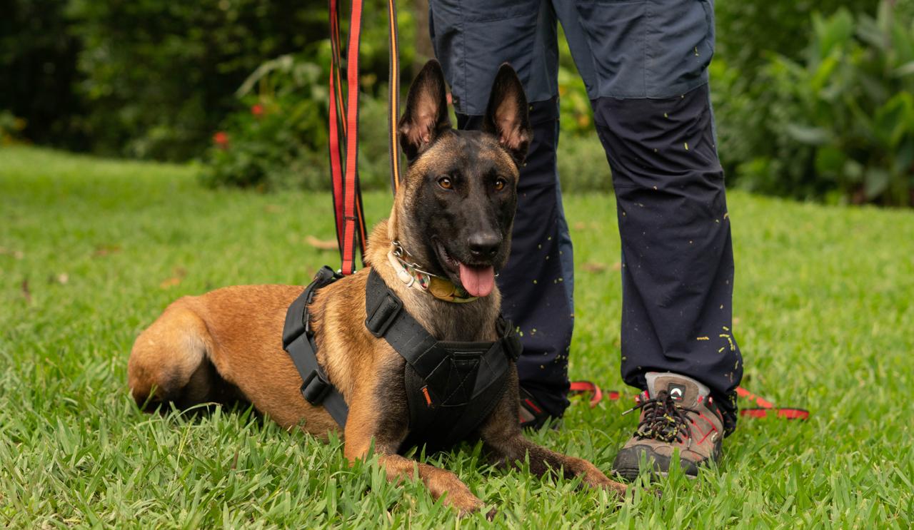 Only do Vale do Itaim