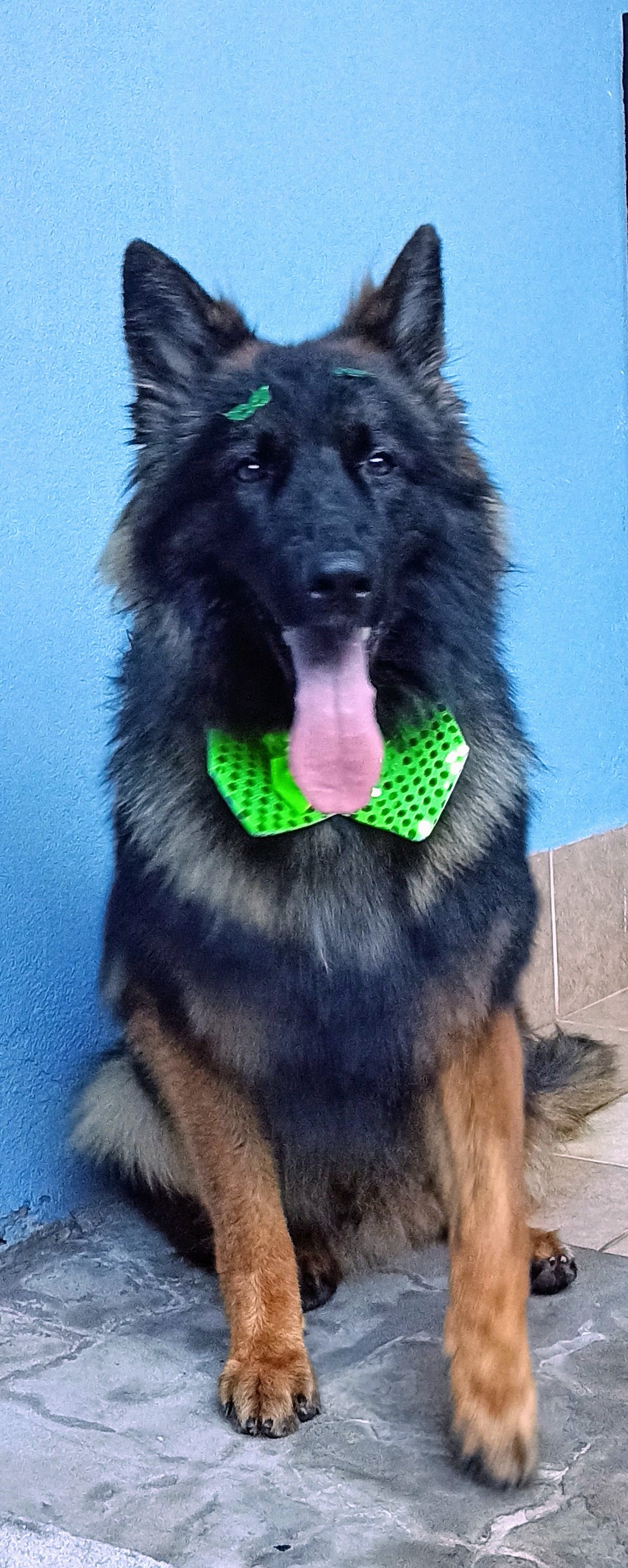 Taurus 113rd do Ravagnani