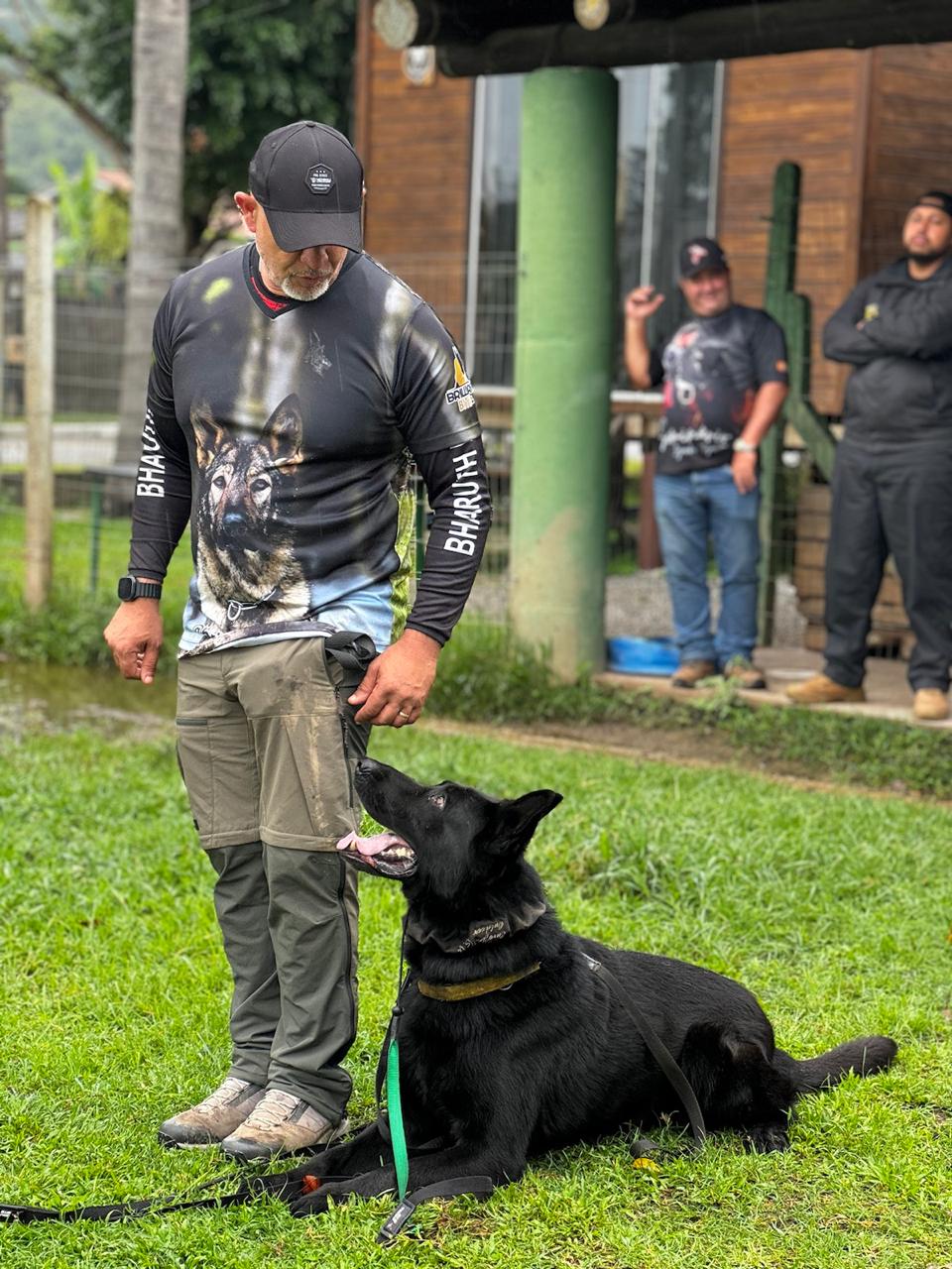 Kimbo Vom Hofe Schumacher