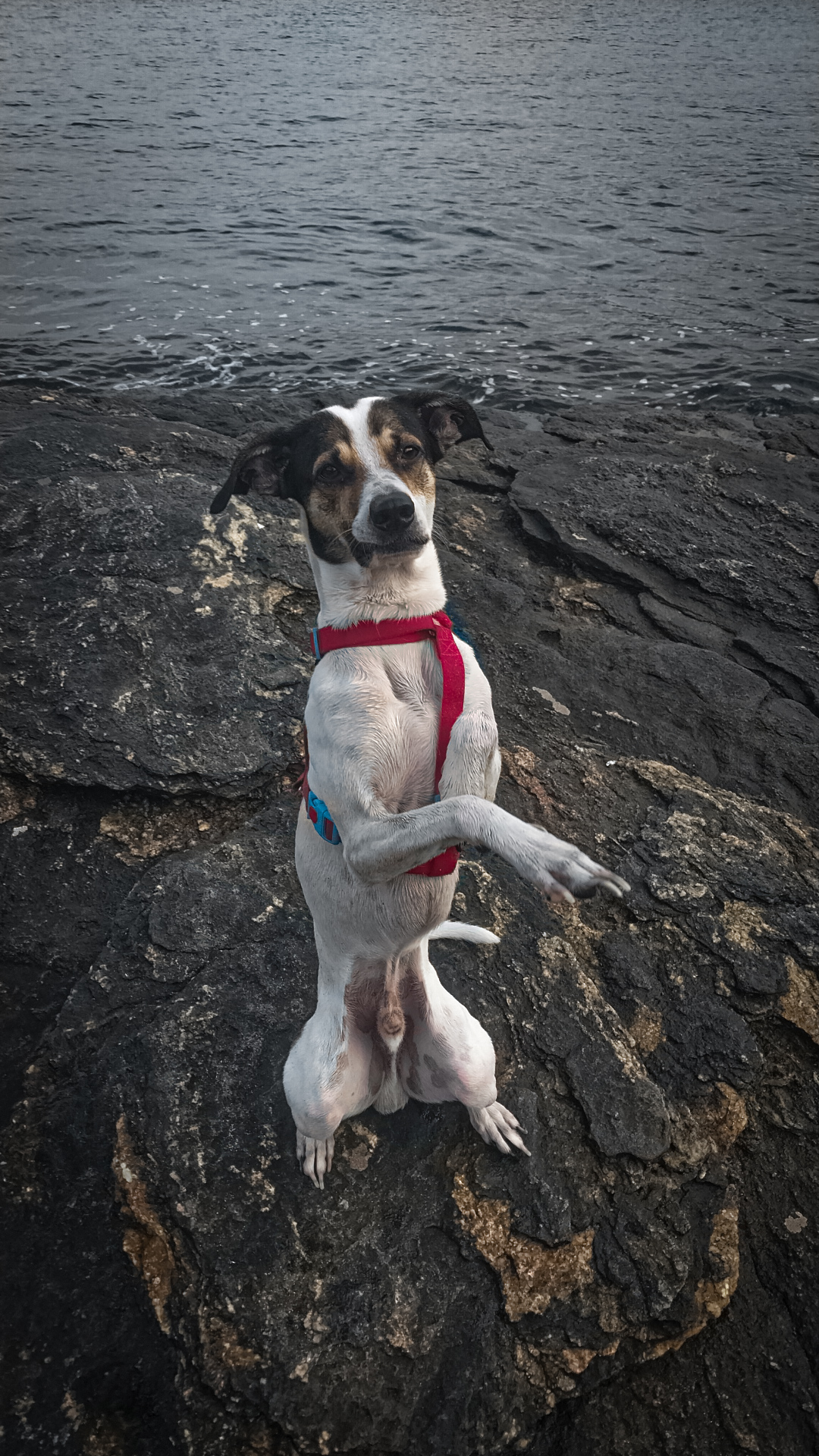 King Eilish Kiramann