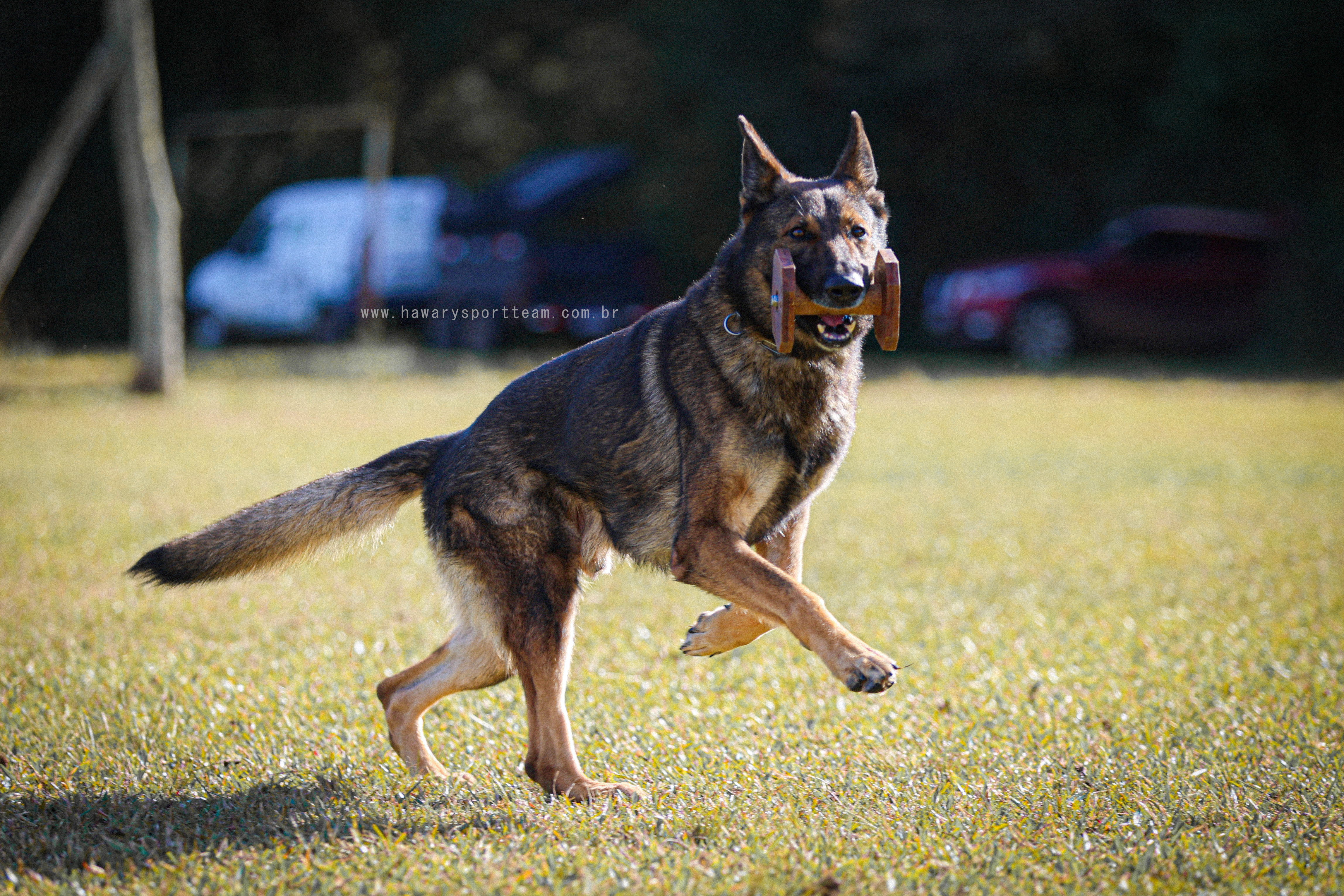 Logan da Aliança Mineira