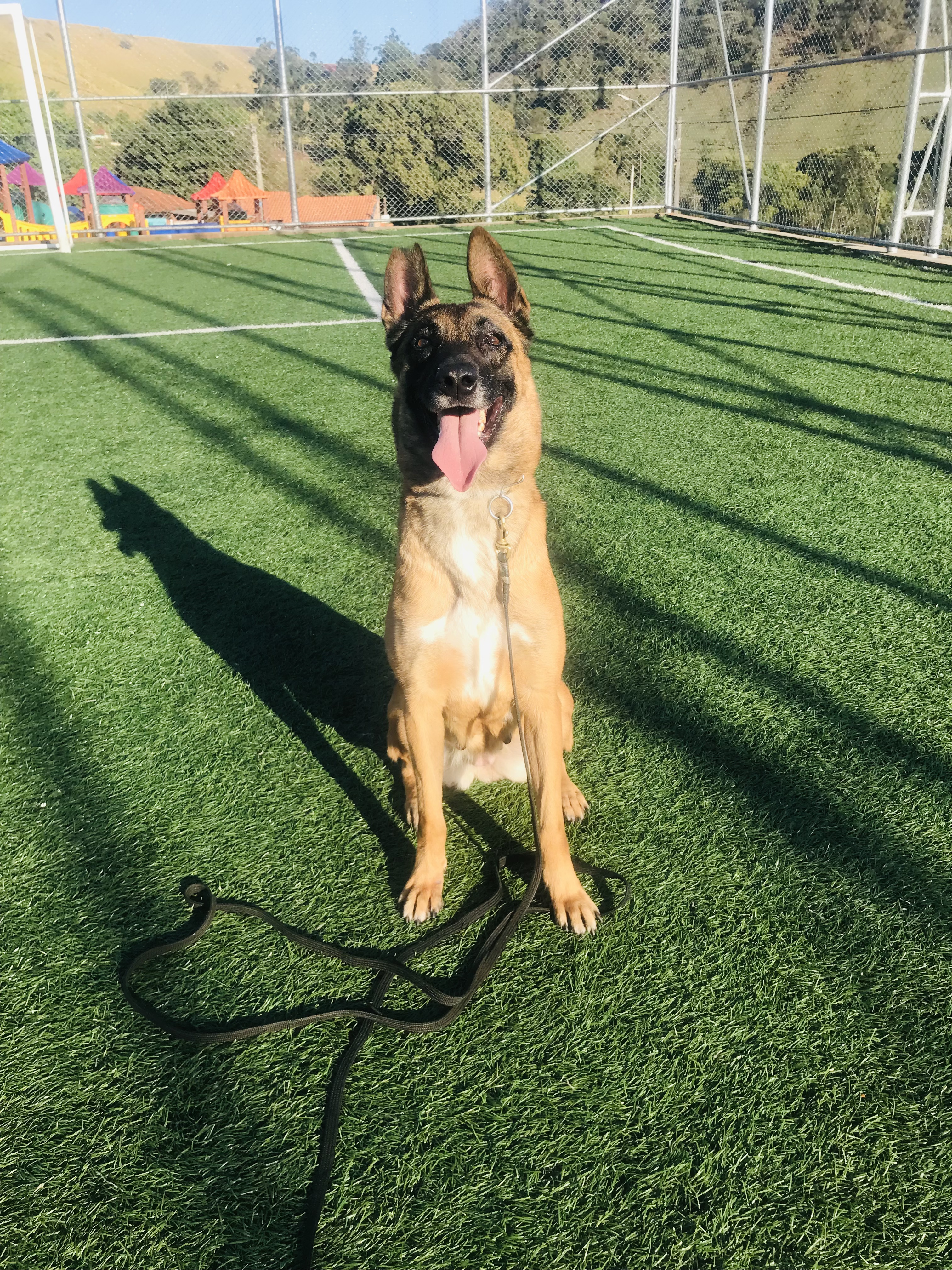 Diana do pé Vermeio