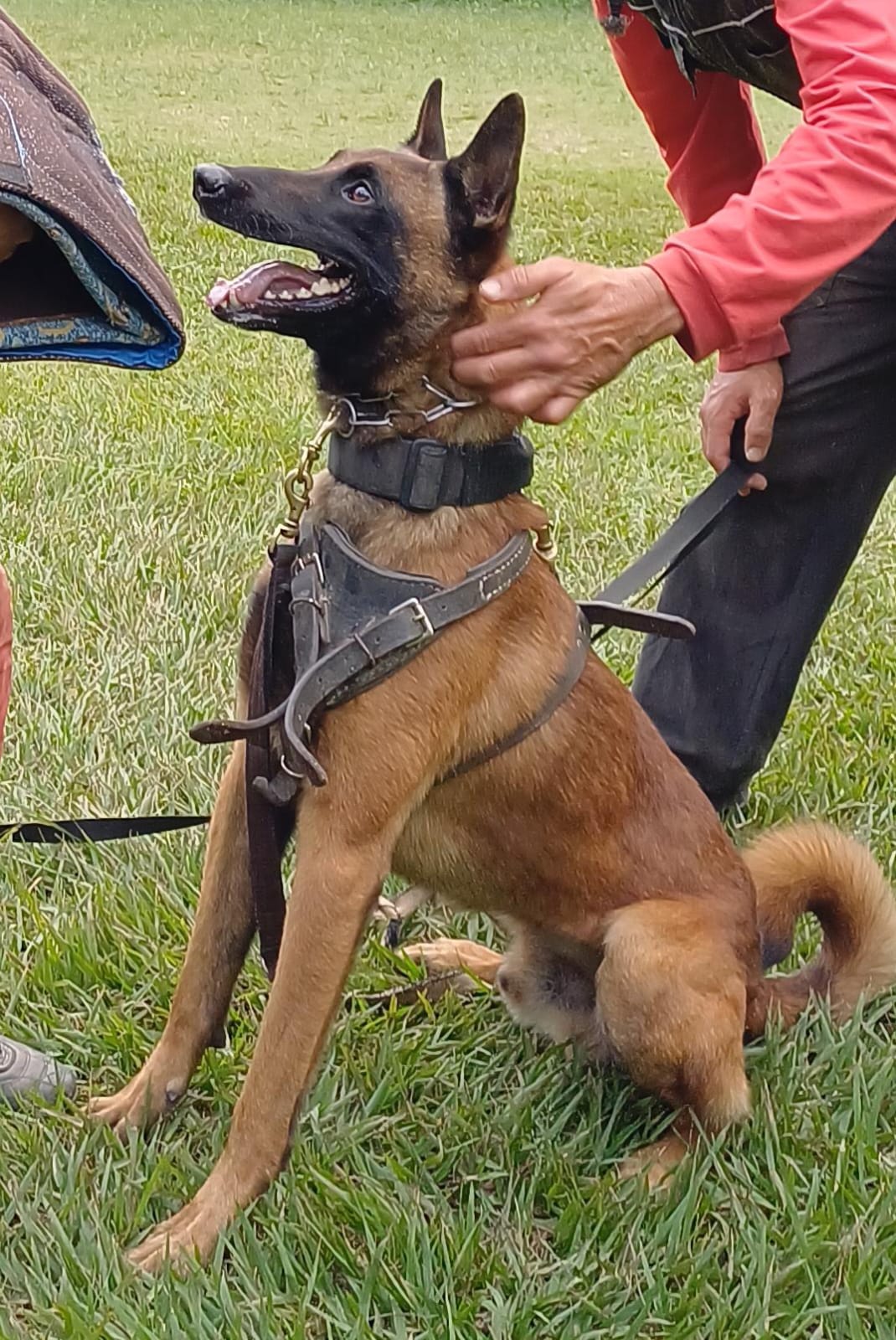 Samir Bragança de Souza