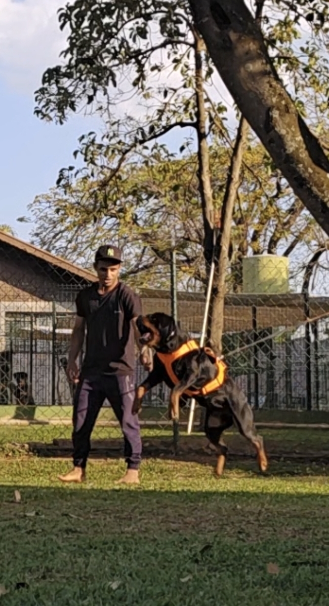 Zeta vom hause Betgfelsen