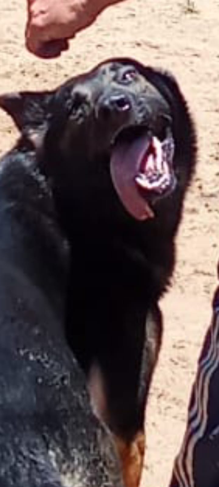 Bobby von aterp haus