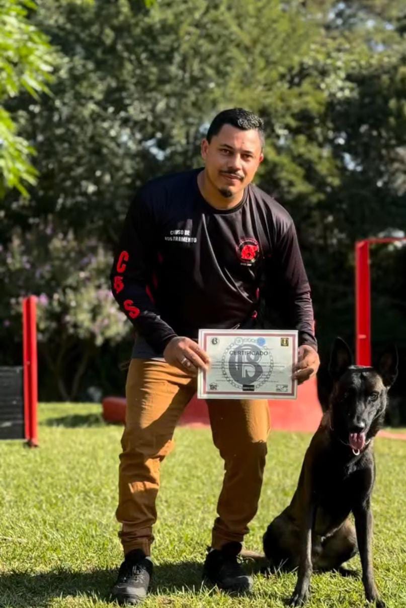 Braddock Imperia Royal