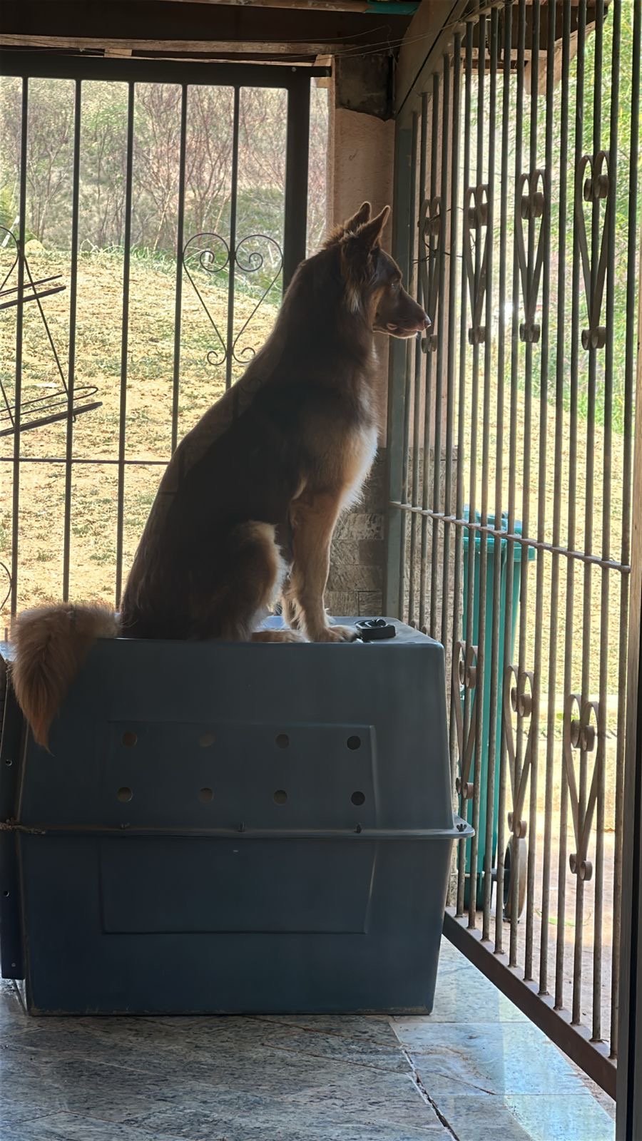 Atena
