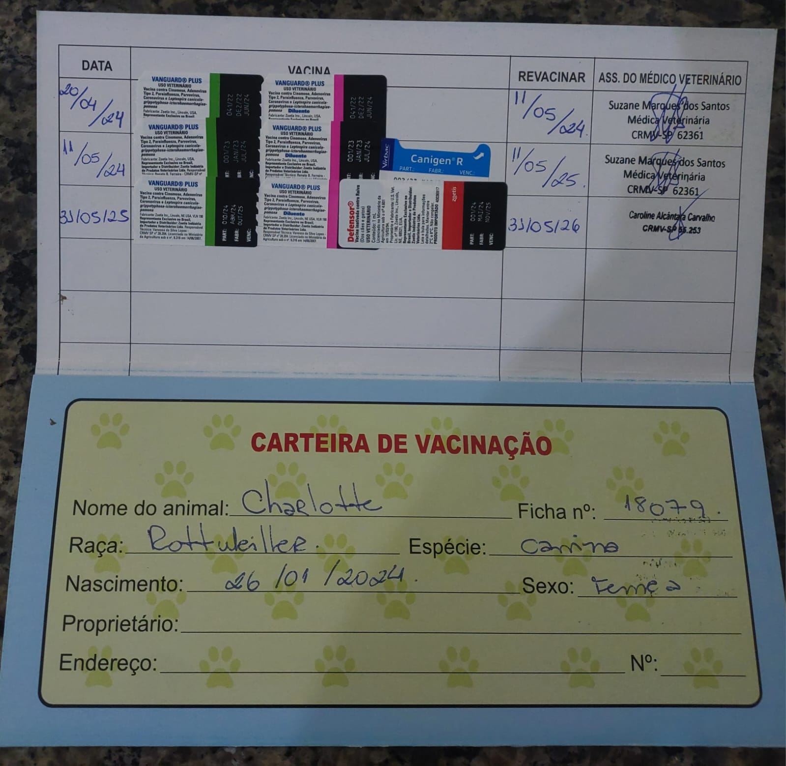 Exâme de raio-X