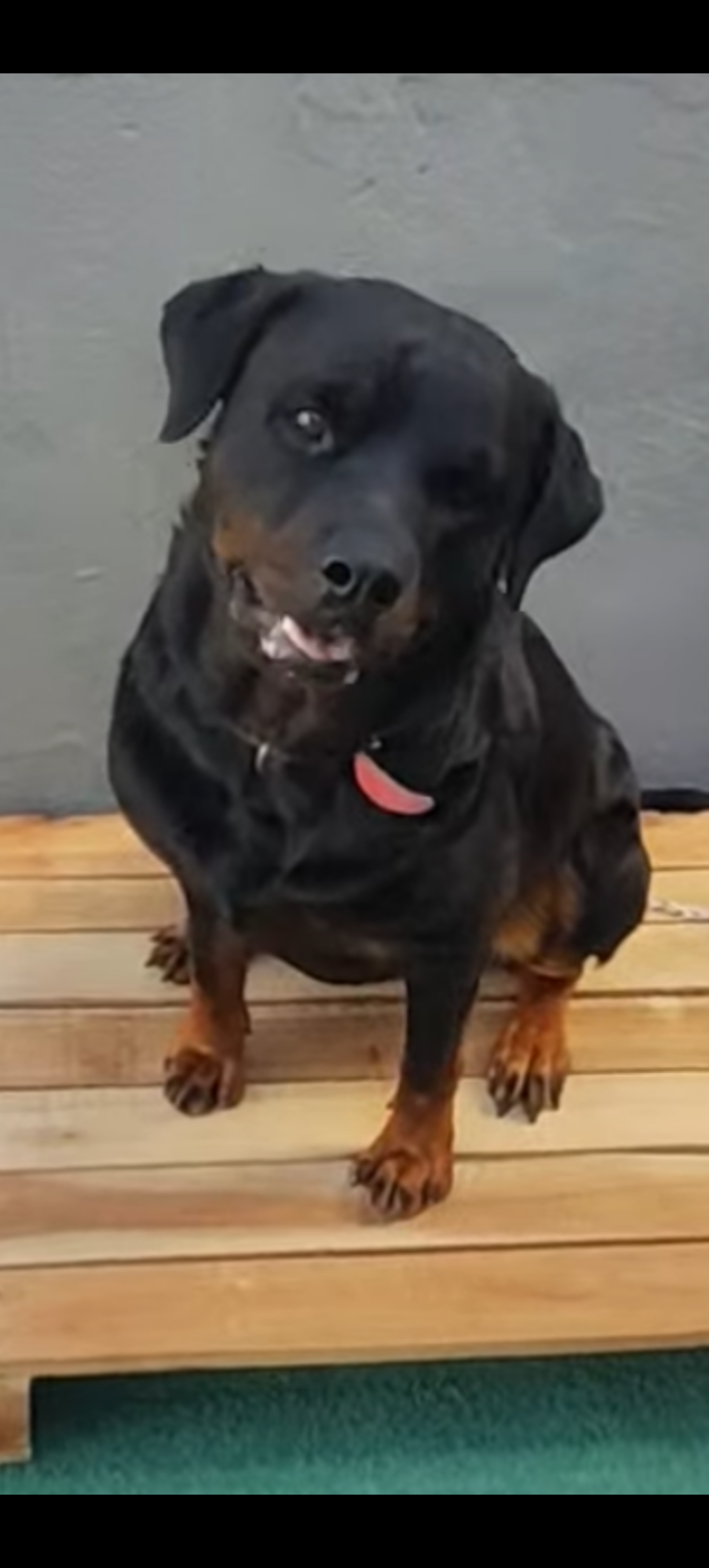 Kira Pequena
